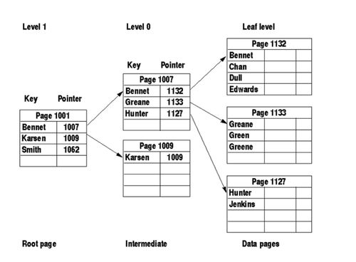 数据存储管理的起源与现代数据库发展启蒙 从信息记录到智能服务的演进之路